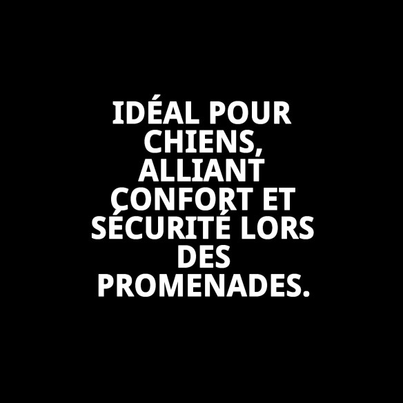 Collier en cuir Forniture 3x60 cm pour animaux de compagnie