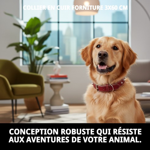 Collier en cuir Forniture 3x60 cm pour animaux de compagnie
