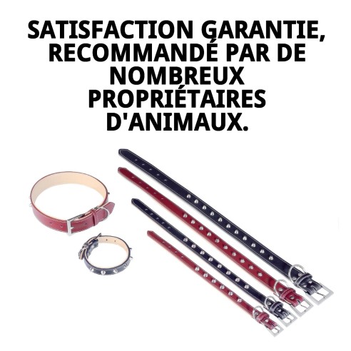 Collier en cuir Forniture 3x60 cm pour animaux de compagnie