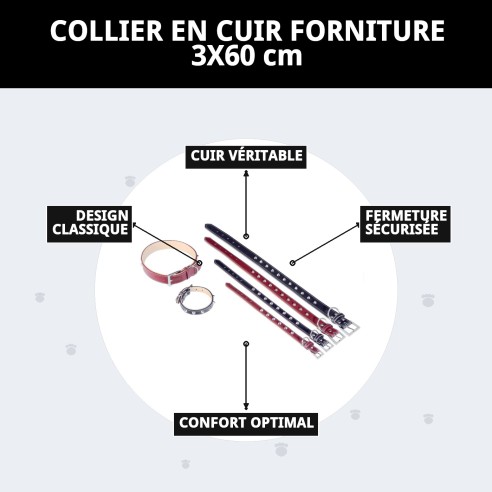 Collier en cuir Forniture 3x60 cm pour animaux de compagnie