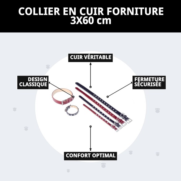 Collier en cuir Forniture 3x60 cm pour animaux de compagnie