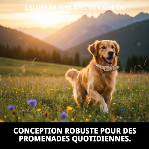 Collier en cuir beige avec os 1,6x30 cm pour animaux de compagnie.