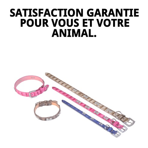 Collier en cuir beige avec os 1,6x30 cm pour animaux de compagnie.