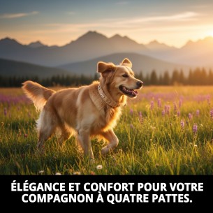 Collier en cuir avec os beige 1,90x40 cm pour animaux de compagnie. 2