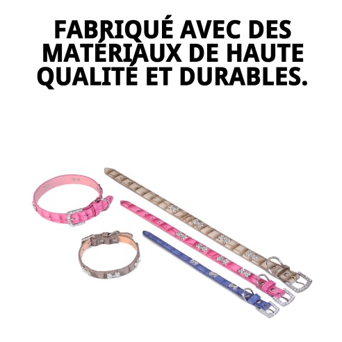 Collier en Cuir avec Os pour Animaux de Compagnie - Beige et Bleu