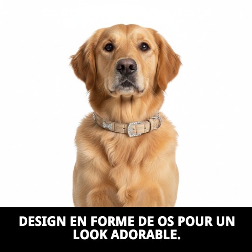 Collier en Cuir avec Os pour Animaux de Compagnie - Beige et Bleu