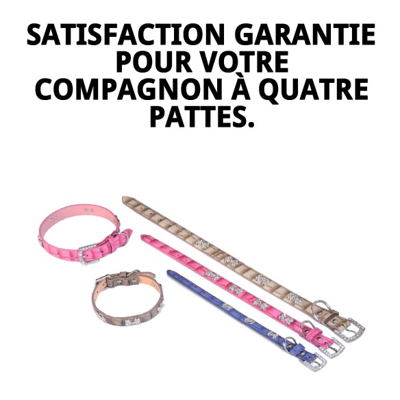 Collier en Cuir avec Os pour Animaux de Compagnie - Beige et Bleu