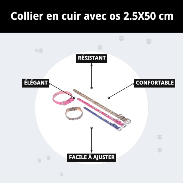 Collier en Cuir avec Os pour Animaux de Compagnie - Beige et Bleu