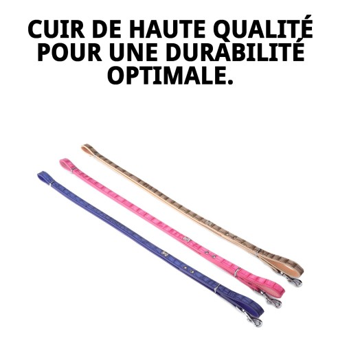 Lanière en cuir avec os 1,6x120 cm pour animaux de compagnie