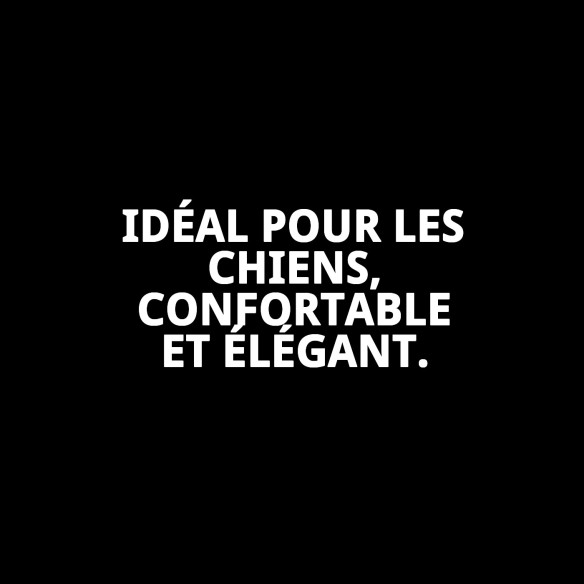 Lanière en cuir avec os 1,6x120 cm pour animaux de compagnie