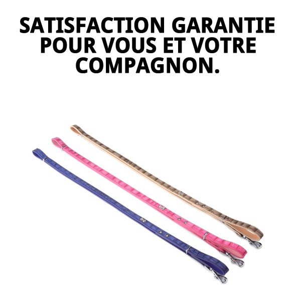 Lanière en cuir avec os 1,6x120 cm pour animaux de compagnie