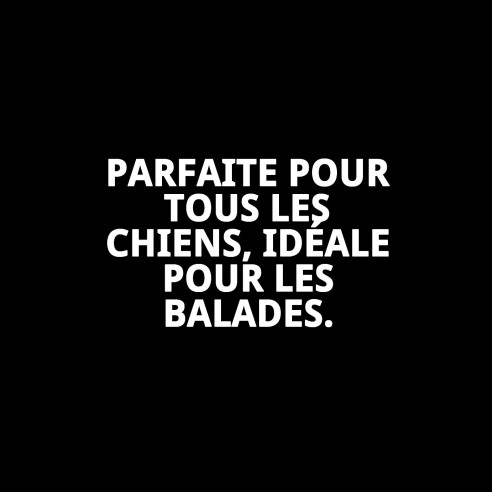 Rameau en cuir avec os 2,5x120 cm pour animaux de compagnie.