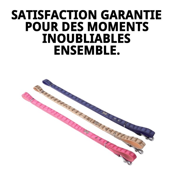 Rameau en cuir avec os 2,5x120 cm pour animaux de compagnie.