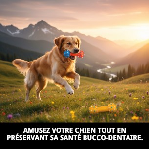 Jouet Dentaire en Vinyle 16 cm pour Animaux de Compagnie - Amusant et Utile 2