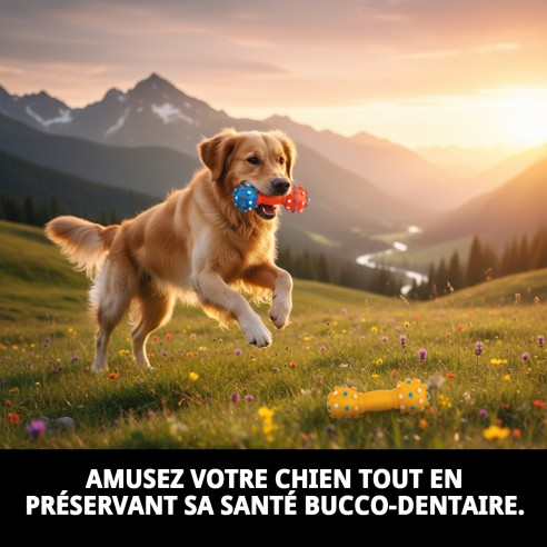 Jouet Dentaire en Vinyle 16 cm pour Animaux de Compagnie - Amusant et Utile