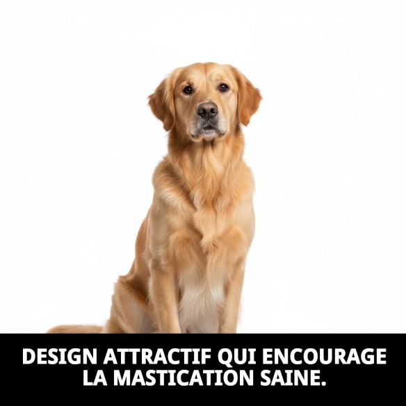 Jouet Dentaire en Vinyle 16 cm pour Animaux de Compagnie - Amusant et Utile