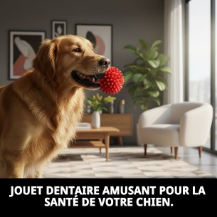 Jouet en Vinyle Hérisson Dentaire 13 cm pour votre Animal de Compagnie 2