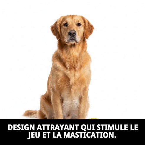 Jouet en Vinyle Hérisson Dentaire 13 cm pour votre Animal de Compagnie