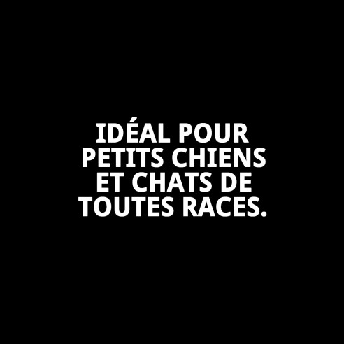 Coussin en plastique N.1 45x32x22cm - Confort pour votre animal de compagnie