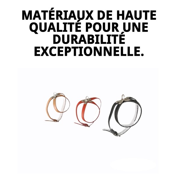 Collier en cuir rembourré 25 cm - Confort et style pour votre animal de compagnie