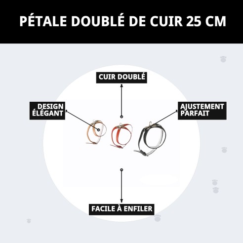 Collier en cuir rembourré 25 cm - Confort et style pour votre animal de compagnie