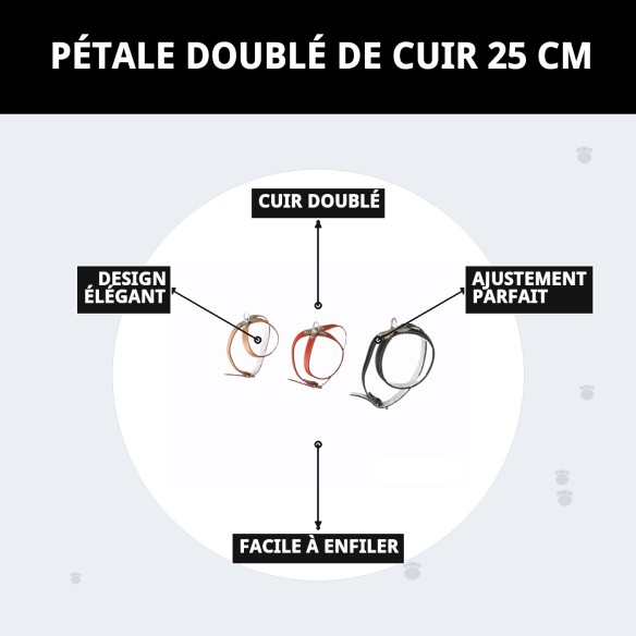 Collier en cuir rembourré 25 cm - Confort et style pour votre animal de compagnie