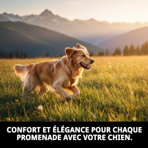 Petral en Cuir Doublé 50 cm : Style et Confort pour votre Animal de Compagnie 2