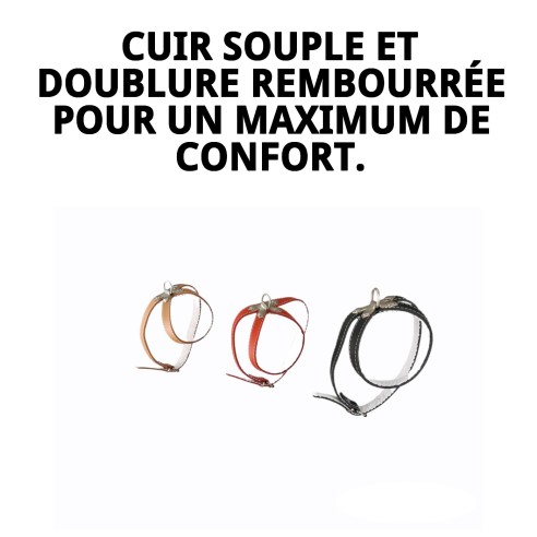 Petral en Cuir Doublé 50 cm : Style et Confort pour votre Animal de Compagnie
