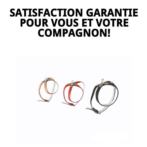 Petral en Cuir Doublé 50 cm : Style et Confort pour votre Animal de Compagnie