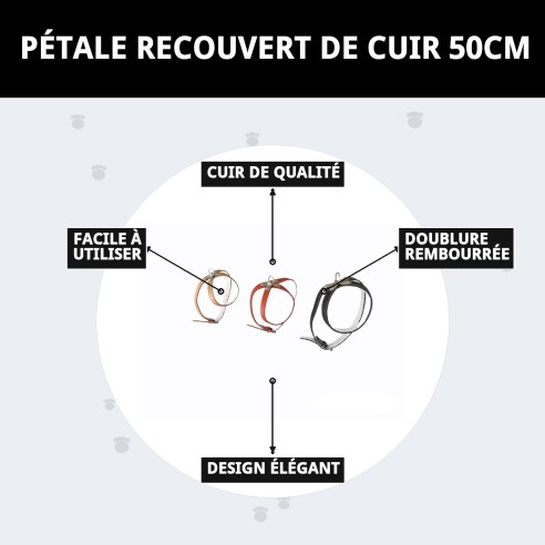 Petral en Cuir Doublé 50 cm : Style et Confort pour votre Animal de Compagnie