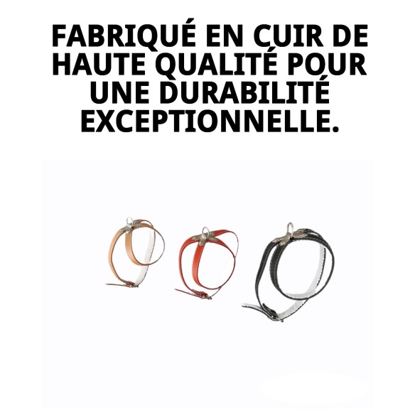 Harnais en cuir avec fourniture de 25 cm pour votre animal de compagnie.