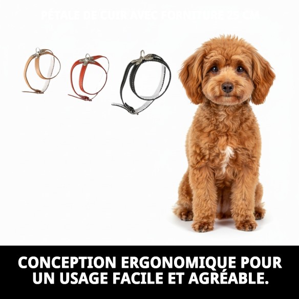 Harnais en cuir avec fourniture de 25 cm pour votre animal de compagnie.