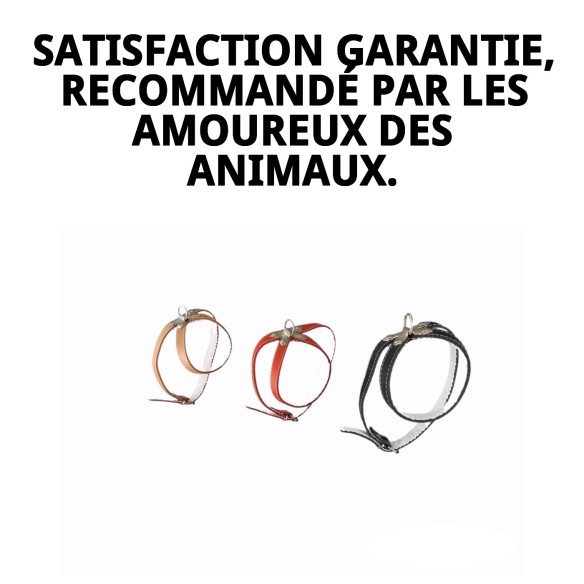 Harnais en cuir avec fourniture de 25 cm pour votre animal de compagnie.