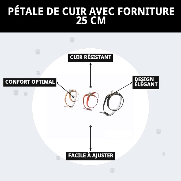 Harnais en cuir avec fourniture de 25 cm pour votre animal de compagnie.