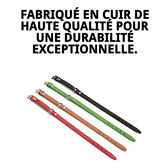 Collier en Cuir Lisse pour Animaux 60x3,5 cm - Style et Durabilité