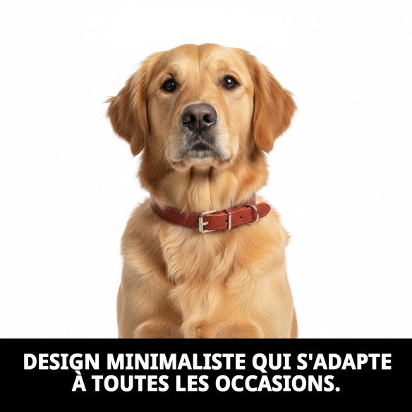 Collier en Cuir Lisse pour Animaux 60x3,5 cm - Style et Durabilité