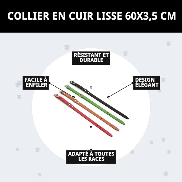 Collier en Cuir Lisse pour Animaux 60x3,5 cm - Style et Durabilité