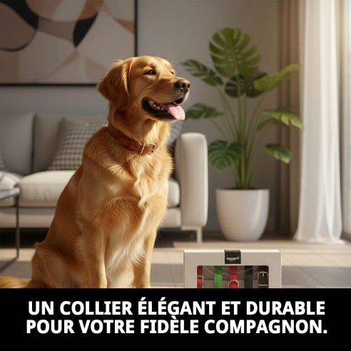 Collier en Cuir Lisse pour Chiens - Style et Confort