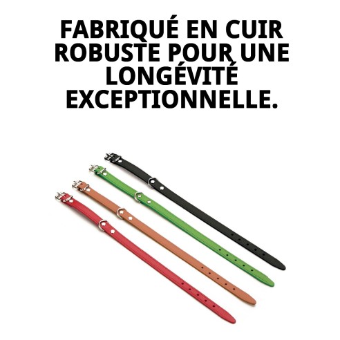 Collier en Cuir Lisse pour Chiens - Style et Confort