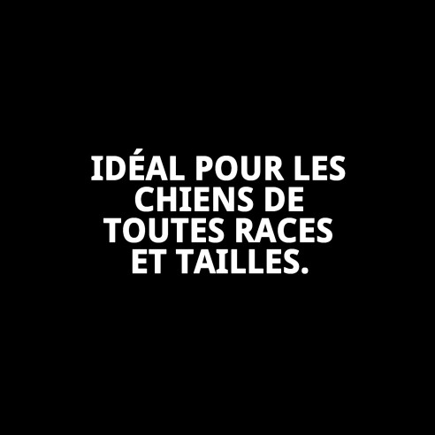 Collier en Cuir Lisse pour Chiens - Style et Confort