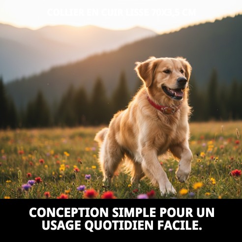 Collier en Cuir Lisse pour Chiens - Style et Confort