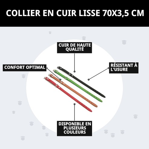 Collier en Cuir Lisse pour Chiens - Style et Confort