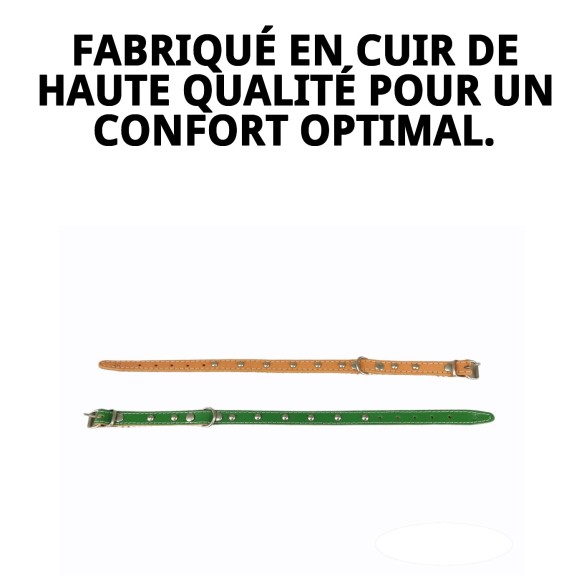 Collier en Cuir Lisse avec Fourniture - 35 cm pour Animaux de Compagnie
