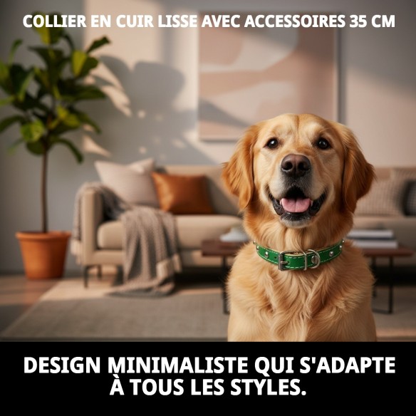 Collier en Cuir Lisse avec Fourniture - 35 cm pour Animaux de Compagnie