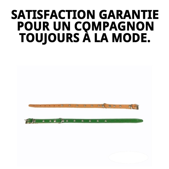 Collier en Cuir Lisse avec Fourniture - 35 cm pour Animaux de Compagnie