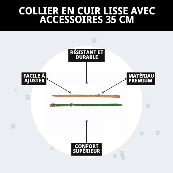 Collier en Cuir Lisse avec Fourniture - 35 cm pour Animaux de Compagnie