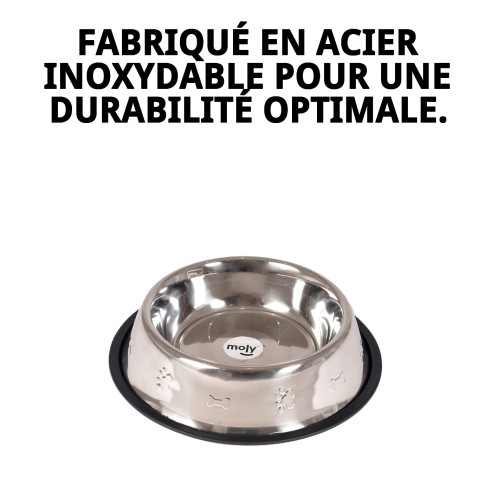 Bol en Acier Inoxydable de 25 cm avec Design Amusant