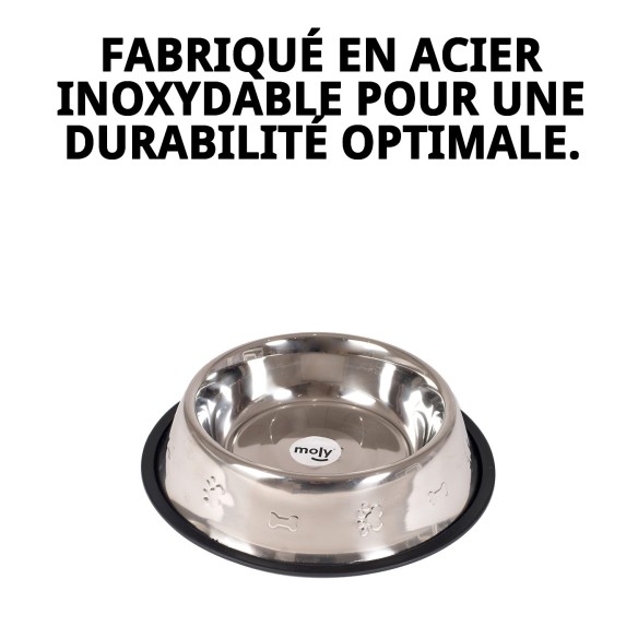 Bol en Acier Inoxydable de 25 cm avec Design Amusant