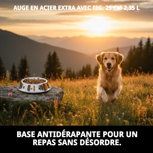 Bol en Acier Inoxydable de 25 cm avec Design Amusant
