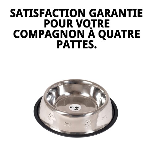 Bol en Acier Inoxydable de 25 cm avec Design Amusant